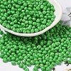 6/0 Opaque Baking Paint Glass Seed Beads SEED-M012-02A-06-1