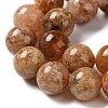 Natural Flower Agate Beads Strands G-B044-A01-02-5