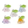 5Pcs 5 Color Glass Flower of Life Charms PALLOY-JF02301-02-1