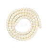 Shell Beads Strands SSHEL-E571-38-4mm-2