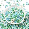 6/0 Glass Seed Beads SEED-L011-08A-02-2