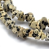 Natural Dalmatian Jasper Beads Strands G-P332-20-2