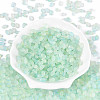 Frosted Glass Seed Beads SEED-N008-05F-2