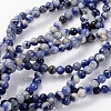 Natural Sodalite Beads Strands GSR4mmC013-1