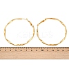 304 Stainless Steel Hoop Earrings EJEW-I320-25G-03-5