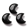 Natural Obsidian Beads G-T147-01A-03-1