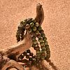 Natural Unakite Bead Stretch Bracelets BJEW-K212-A-006-5