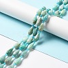 Natural Flower Amazonite Beads Strands G-B028-A03-2
