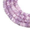 Natural Lepidolite/Purple Mica Stone Beads Strands G-G345-C18-2x4mm-4