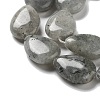 Natural Labradorite Beads Strands G-P528-L03-01-4