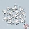 925 Sterling Silver Charms STER-T002-117S-3