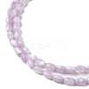 Natural Trochus Shell Beads Strands X-SHEL-K006-19B-3