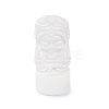 Natural Selenite Figurines DJEW-Q006-01M-1