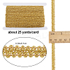 25 Yards Metallic Lace Trims OCOR-GF0003-22-2
