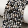 Natural Blue Spot Jasper Beads Strands G-D347-B06-1