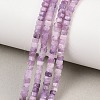Natural Lepidolite/Purple Mica Stone Beads Strands G-G345-C18-2x4mm-1