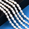 Natural Cultured Freshwater Pearl Beads Strands X-PEAR-N012-04R-2