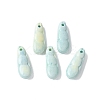 Natural Rainbow Alashan Agate Charms G-G194-05-2