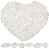 500G Natural Quartz Crystal Chips Beads G-SP0001-08-1