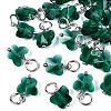 Faceted Transparent Glass Charms GLAA-T024-06F-1