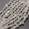 Natural Quartz Crystal Beads Strands G-P035-16-1