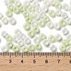 3/0 Glass Seed Beads SEED-L011-03A-17-4