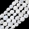 Natural Rainbow Moonstone Beads Strands G-Q961-27-2