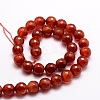 Dyed Natural Agate Faceted Round Beads Strands G-E320B-10mm-08-2