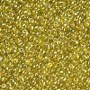 Glass Seed Beads SEED-A006-2mm-110-2