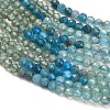 Gradient Color Natural Apatite Beads Strands GG-CBA1668-A04-2mm-4