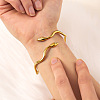 Snake 304 Stainless Steel Cuff Bangles FS-WGA46EE-01-3