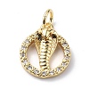 Brass Micro Pave Cubic Zirconia Charms ZIRC-F131-12G-1