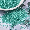 MIYUKI Delica Beads SEED-MY11-DB1812-1