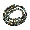 Natural African Turquoise(Jasper) Beads Strands G-P575-C18-6mm-3