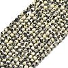 Natural Dalmatian Jasper Beads Strands G-A260-A10-01-2