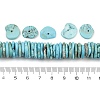 Dyed Natural Magnesite Beads Strands G-V003-01-5