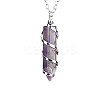 Natural Amethyst Hexagon Prism Pendant Necklace with Platinum Alloy Chains PW-WG80696-01-1