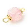 Natural Agate Connector Charms PALLOY-JF01587-01-6