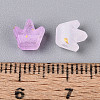 Frosted Transparent Acrylic Beads FACR-T009-01G-4