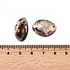 Natural Paua Shell Pendants SSHEL-S280-01A-3