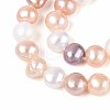 Natural Cultured Freshwater Pearl Beads Strands PEAR-N014-05M-02-4