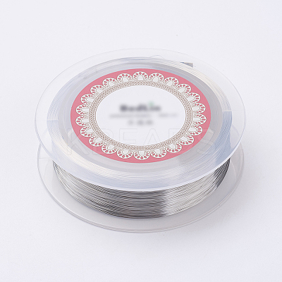 Steel Wire TWIR-E001-0.1mm-1