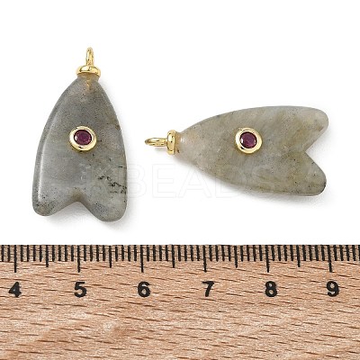 Brass & Natural Labradorite & Cubic Zirconia Pendants GG-CBAD360-20G-04-1