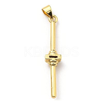 Brass with Cubic Zirconia Pendants KK-K341-31G-01-1