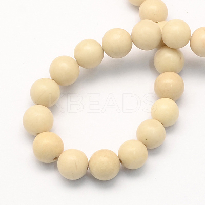 Natural Fossil Round Beads Strands LS-G-S171-8mm-1