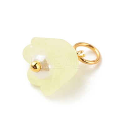 Transparent Acrylic Charms PALLOY-JF01604-01-1