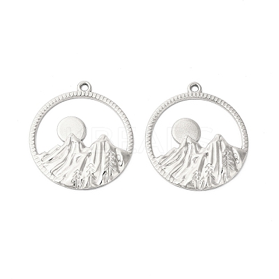Non-Tarnish 304 Stainless Steel Pendants STAS-L268-010P-1
