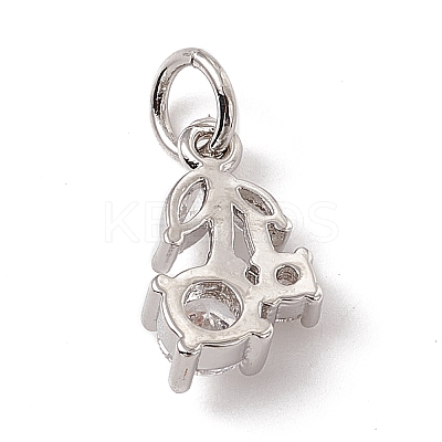 Brass Micro Pave Cubic Zirconia Charms ZIRC-F132-05P-1