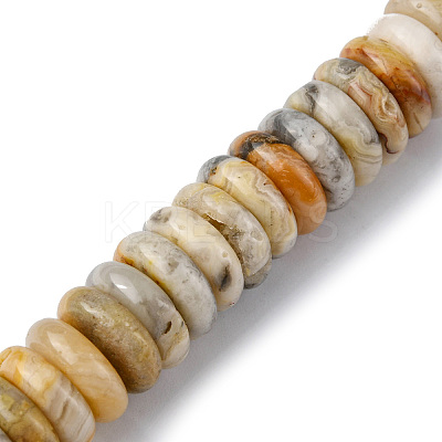 Natural Crazy Lace Agate Beads Strands G-F743-06J-1