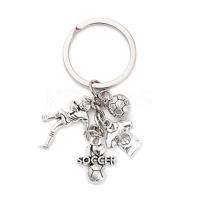 Zinc Alloy Keychains LS-KEYC-I118-01ASP-03-1